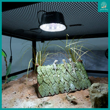 Load image into Gallery viewer, [ReptiZoo] Low Profile UVB LED - Dimmable with Rainforest/Desert Mode (LED012)