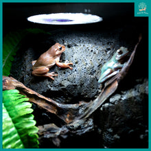 Load image into Gallery viewer, [ReptiZoo] Low Profile UVB LED - Dimmable with Rainforest/Desert Mode (LED012)