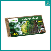 Load image into Gallery viewer, [Reptizoo] Natural Moss 100g (Approximately 4.5L) Natural Reptile High Humidity Terrarium Bedding