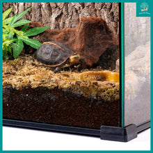 Load image into Gallery viewer, [Reptizoo] Natural Moss 100g (Approximately 4.5L) Natural Reptile High Humidity Terrarium Bedding