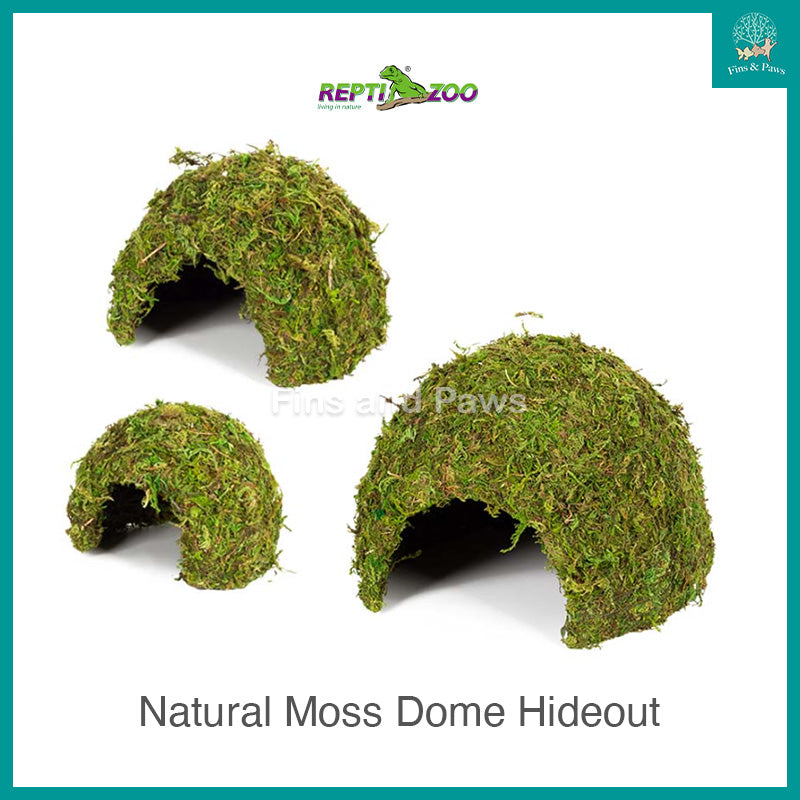 [ReptiZoo] Natural Moss Dome Hideout Ornament for Frogs, Lizards, Crab ...