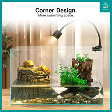 Load image into Gallery viewer, [ReptiZoo] 2-in-1 Turtle Filter Basking Platform Suitable for Terrapins. Frogs and other Amphibians - GLB09(RF01-B35)