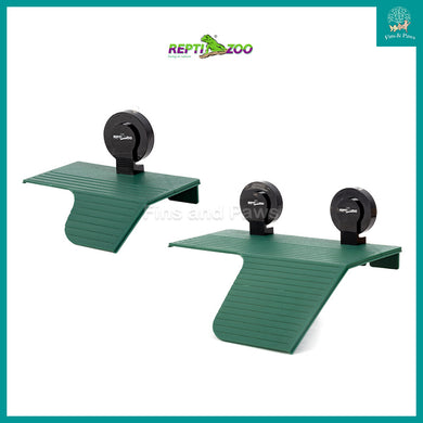 [ReptiZoo] Turtle Ramp for Reptile, Terrapin Basking (TB08S / TB08M)