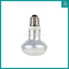 Load image into Gallery viewer, [ReptiZoo] Intense Basking Spot UVA and Heat Bulb 50W / 100W for Reptiles