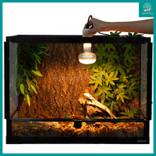 Load image into Gallery viewer, [ReptiZoo] Intense Basking Spot UVA and Heat Bulb 50W / 100W for Reptiles