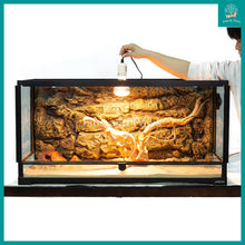 Load image into Gallery viewer, [ReptiZoo] Intense Basking Spot UVA and Heat Bulb 50W / 100W for Reptiles