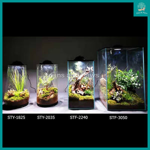 [VG] Glass Terrarium complete with LED Light