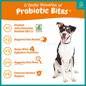 [Zesty Paws] Support Supplement For All Ages Dogs - 90 Soft Chews (Multivitamin, Probiotic, Allergy)