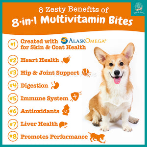 [Zesty Paws] Support Supplement For All Ages Dogs - 90 Soft Chews (Multivitamin, Probiotic, Allergy)