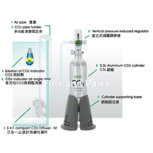 Load image into Gallery viewer, [ISTA] 0.5L CO2 Aluminum Cylinder Set Face Up - ADVANCE
