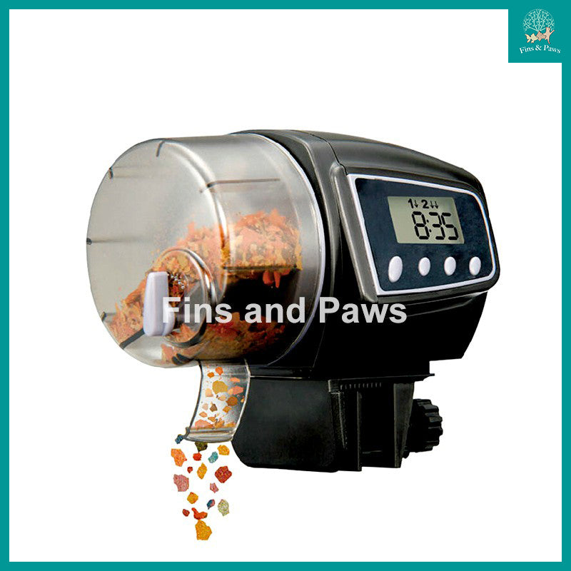 Pond fish food outlet dispenser