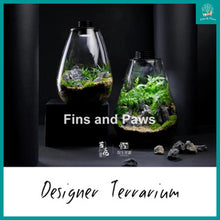 Load image into Gallery viewer, [Terra] Terrarium complete with LED Light