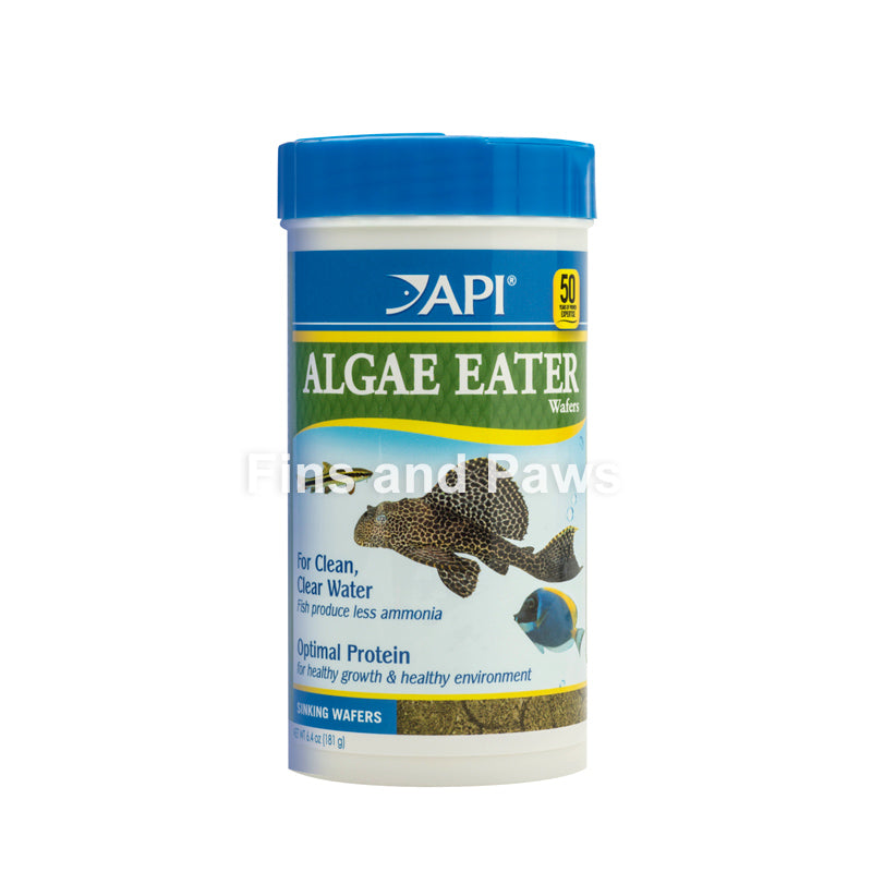 API Algae Eating Sinking Wafers Fish Food Fins and Paws