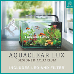 [Aquasyncro] Aquaclear Lux Designer Aquarium Fish Tank (with LED Lights and Filter)