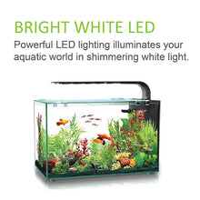 Load image into Gallery viewer, [Aquasyncro] Aquaclear Lux Designer Aquarium Fish Tank (with LED Lights and Filter)