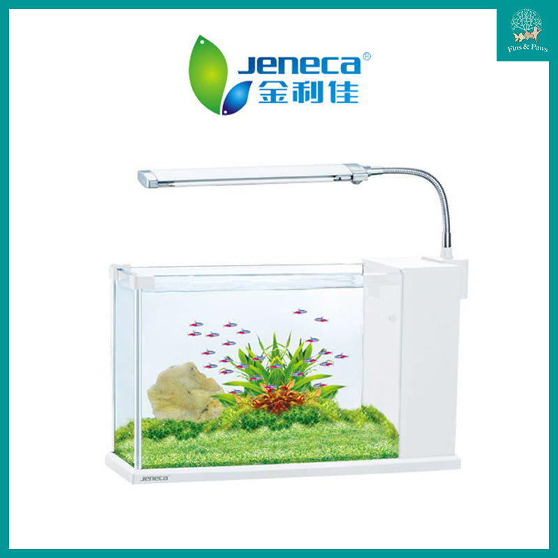 [Jeneca] Slim Tabletop Aquarium Fish Tank complete with LED Lights and Filter (TG-21)