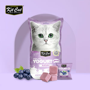 [Kit Cat] Freeze Dried Cat Treats Yogurt Yums Cat Treats 10pcs/bag