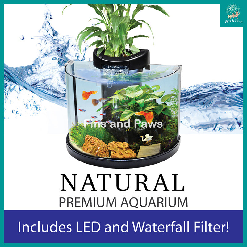 [Aquasyncro] 12L Clearmoon Tabletop Hydroponic Natural Premium Fish Tank (with LED Lights and Filter)