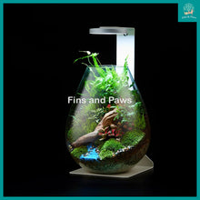 Load image into Gallery viewer, [Chihiros] Magnetic LED Lamp for Wabi-Kusa, Plants and Small Planted Aquarium
