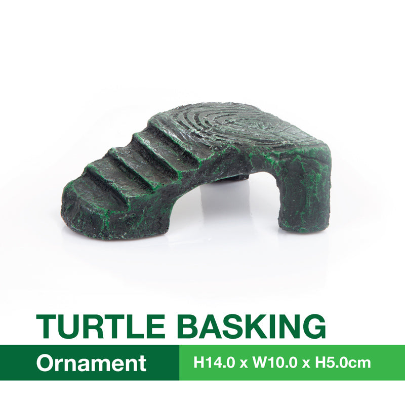 [Acquanova] Small Turtle Terrapins and Tortoise Aquarium Climbing and Basking Platform