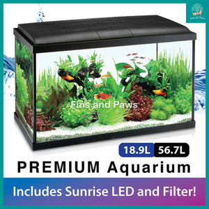 [Resun] 18.9L/56.7L Ripples Premium Aquarium Glass Fish Tank (with Filter and LED Lights)