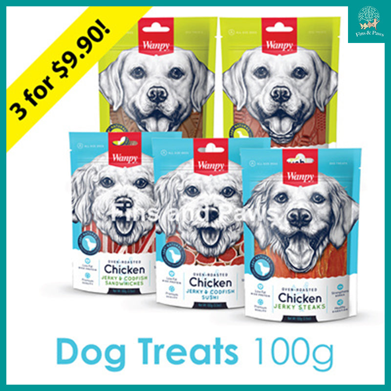 [Wanpy] (Bundle of 3) Oven Roasted Dog Jerky Treats and Toothbrush Chews 100g. Assorted Flavors.